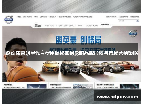 湖南体育明星代言费用揭秘如何影响品牌形象与市场营销策略