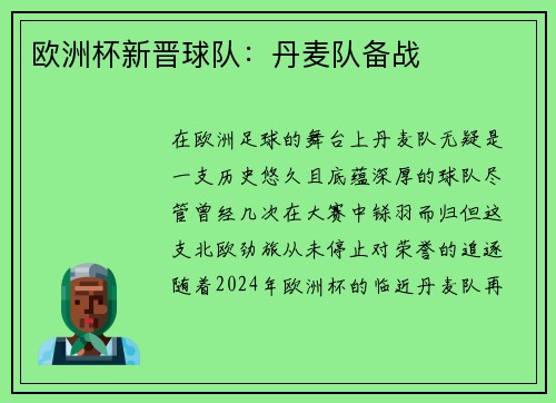 欧洲杯新晋球队：丹麦队备战