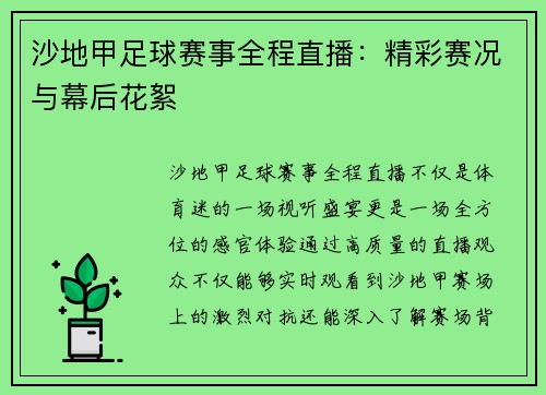 沙地甲足球赛事全程直播：精彩赛况与幕后花絮